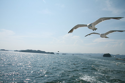 100810-6.jpg
