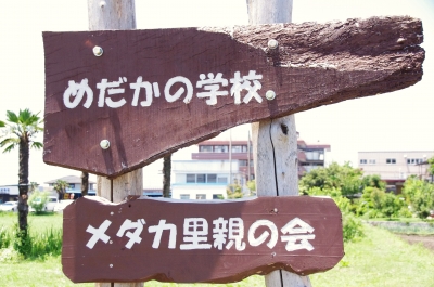 めだかの学校 メダカ里親の会 | おさかなや
