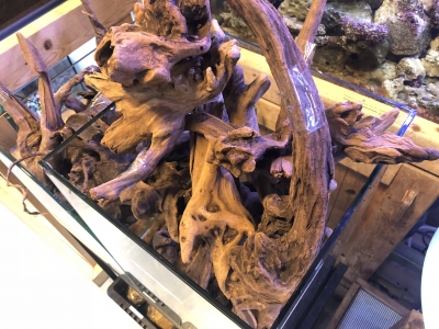 流木小 流木中 流木大 流木特大 流木形状いろいろ | おさかなや入荷情報