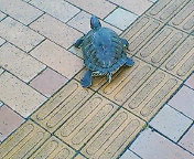 20070605_374305.jpg