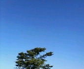 20070811075148.jpg