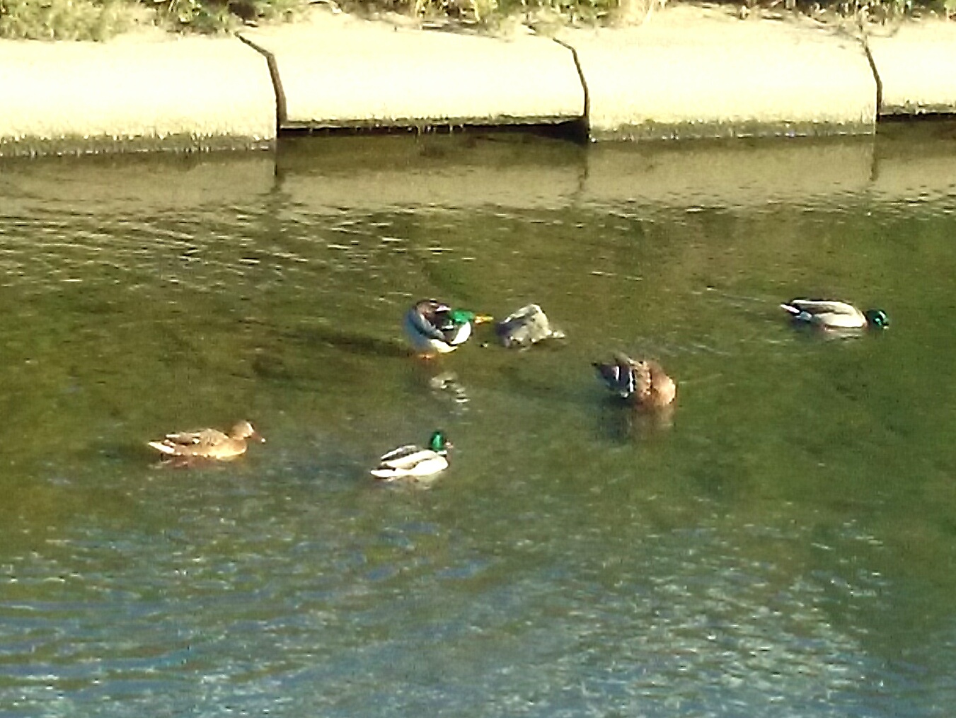 IMG_20131116_200818.JPG