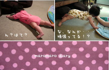 (´Д`*)ノぇぃぇぃぉー