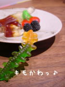 Â繥ʪ