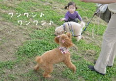 二ノ切公園
