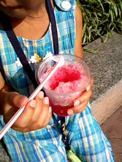 120806_1516~001.jpg