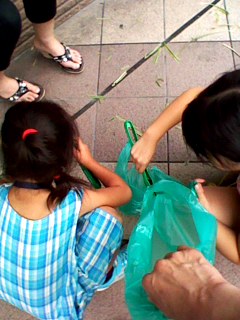 120806_1530~001.jpg