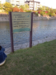 iPhoneImage.png