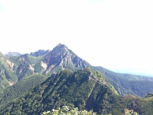 赤岳への道