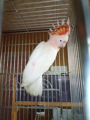 ÌÔ½ë