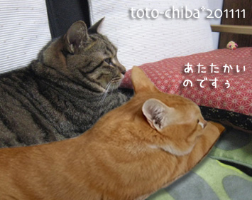 ととは姫さま