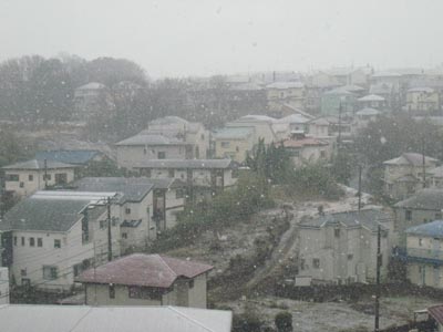 日々のこと