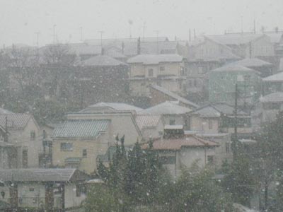 日々のこと