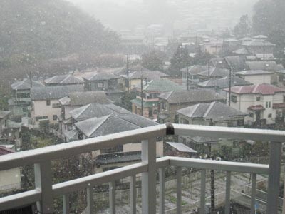 日々のこと