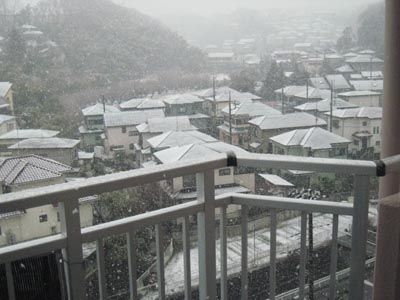 日々のこと