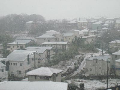 日々のこと