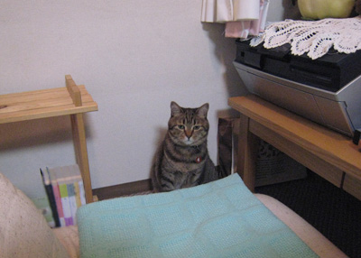 ととは姫さま