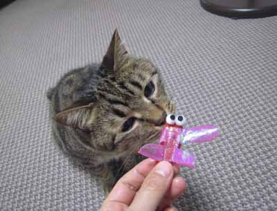 ととは姫さま