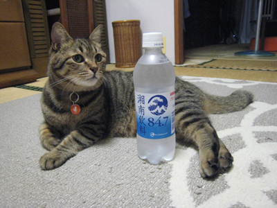 ととは姫さま