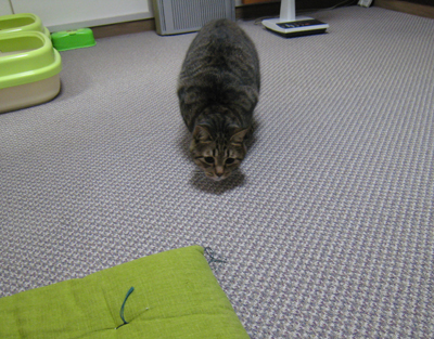ととは姫さま