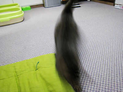 ととは姫さま