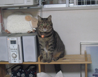 ととは姫さま