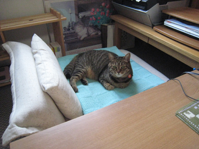 ととは姫さま