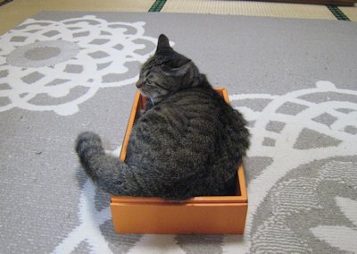 ととは姫さま