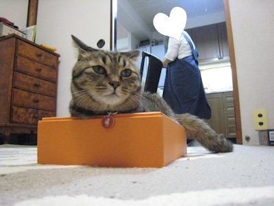 ととは姫さま