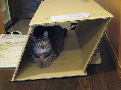 ととは姫さま