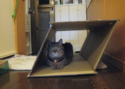 ととは姫さま