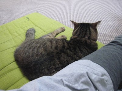 ととは姫さま
