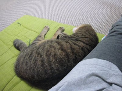 ととは姫さま