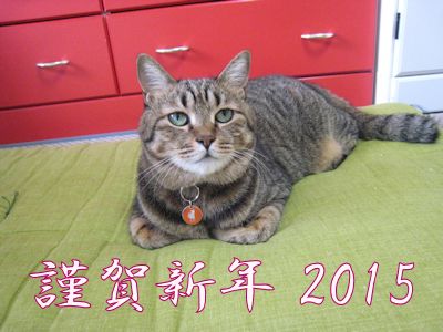 ととは姫さま