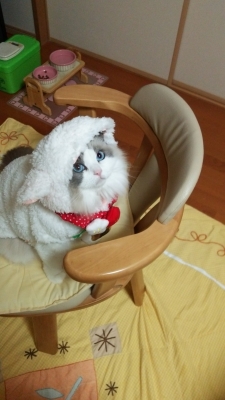 ひつじ