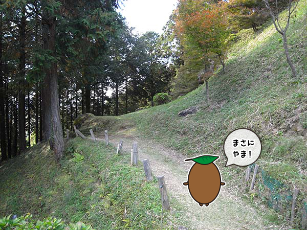 足助城