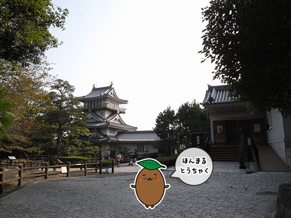 岩崎城