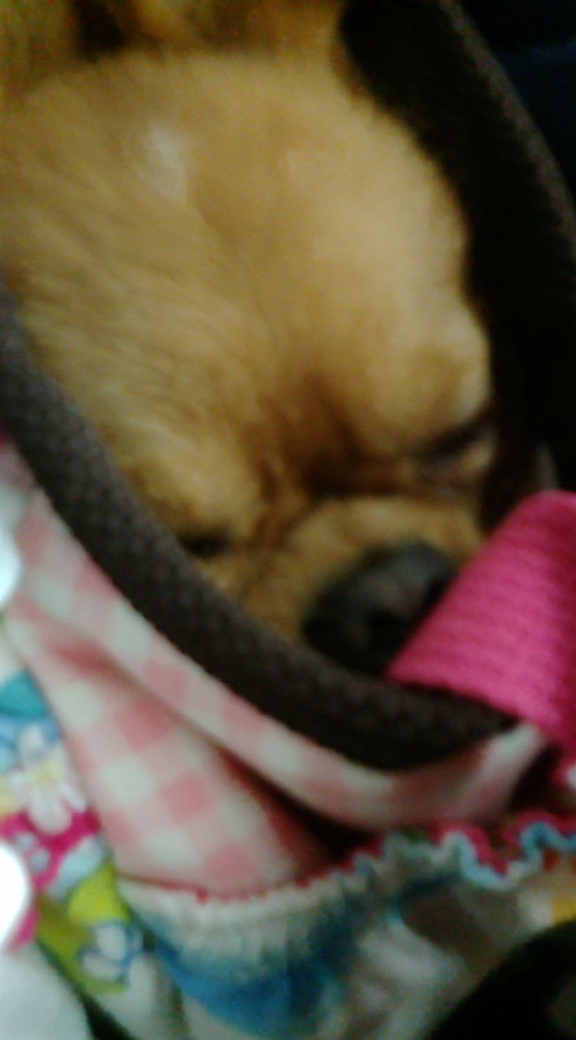 2才