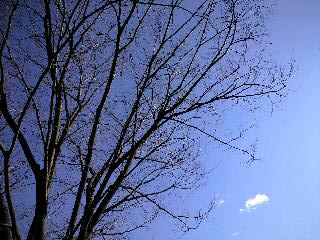 秋の空