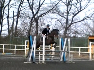 秋田 馬術 競技会 乗馬 大会
