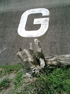 生見海岸名物「G」マーク