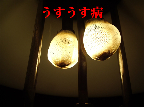 大王マントル
