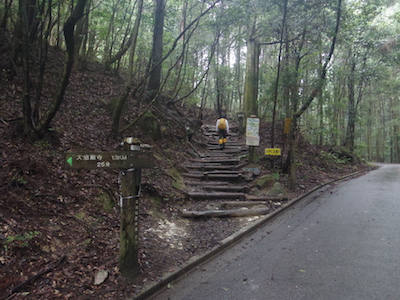 猿投山