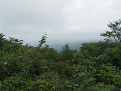 猿投山