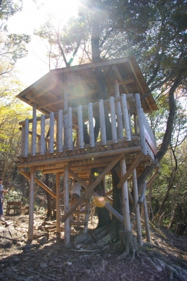 アジロ山のツリーハウス