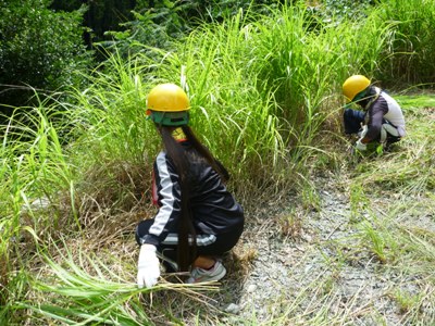 緑の少年団交流会23草刈り