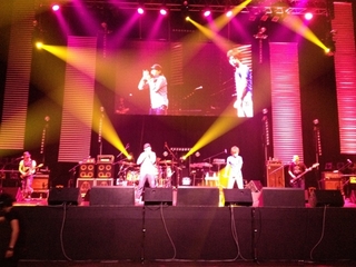 MSW2012_2