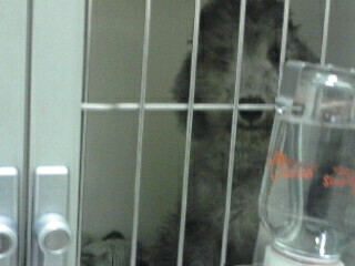 080817_2211~01001001.jpg