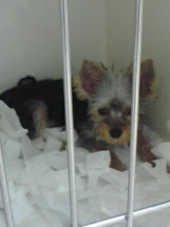 080908_2154~03001.jpg