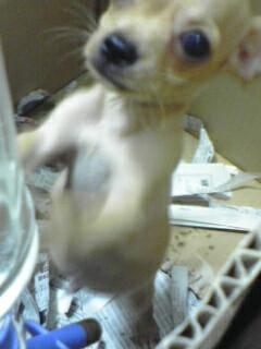 080925_2153~02001.jpg
